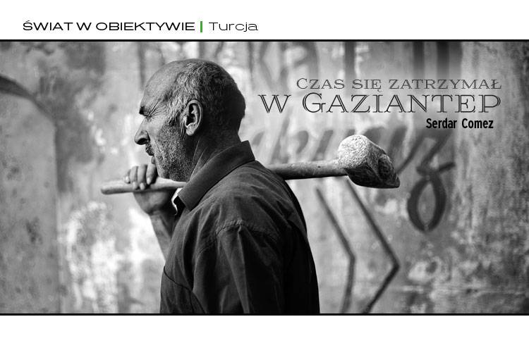 Losowy darmowy artykuł